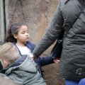 IMG_1497392