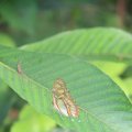 IMG_1497403