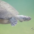 IMG_1497406
