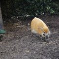 IMG_1497407