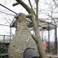 IMG_1497411