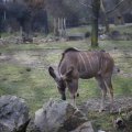 IMG_1497422