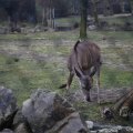 IMG_1497423
