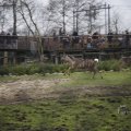 IMG_1497425