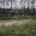 IMG_1497426
