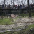 IMG_1497429