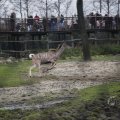 IMG_1497430