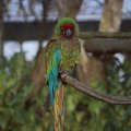 IMG_1497443