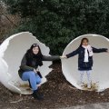 IMG_1497447