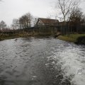 IMG_1497458