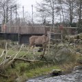 IMG_1497459
