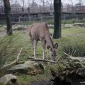 IMG_1497461