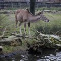 IMG_1497466