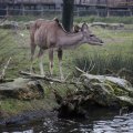 IMG_1497468