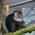 IMG_1497475