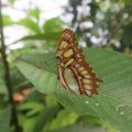 IMG_1497478