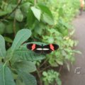 IMG_1497483