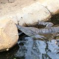 IMG_1497487