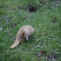 IMG_1497488