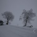 IMG_1498413