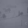 IMG_1498418