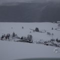 IMG_1498422