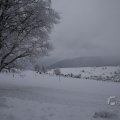 IMG_1498429