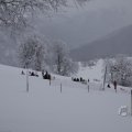 IMG_1498433