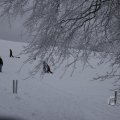 IMG_1498434