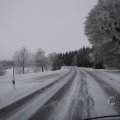 IMG_1498436