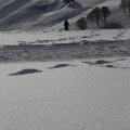 IMG_1498454