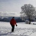 IMG_1498458