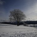 IMG_1498463