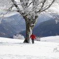 IMG_1498464