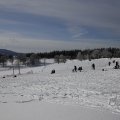 IMG_1498467