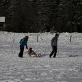 IMG_1498468