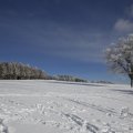 IMG_1498471