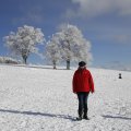 IMG_1498498