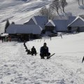 IMG_1498506