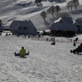 IMG_1498519