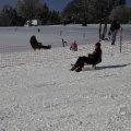 IMG_1498528