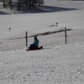 IMG_1498529