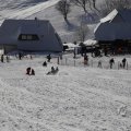 IMG_1498531