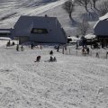 IMG_1498532