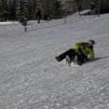 IMG_1498536
