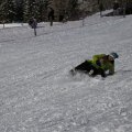 IMG_1498537