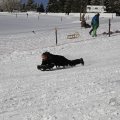 IMG_1498545