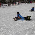 IMG_1498548