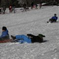 IMG_1498550