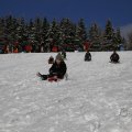 IMG_1498557